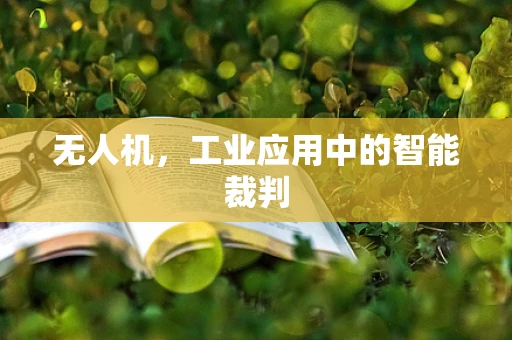 无人机，工业应用中的智能裁判