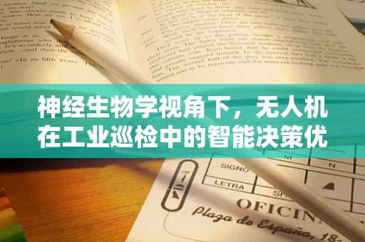 神经生物学视角下，无人机在工业巡检中的智能决策优化