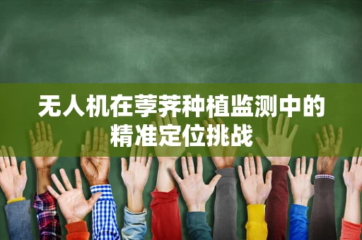 无人机在荸荠种植监测中的精准定位挑战