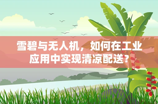 雪碧与无人机，如何在工业应用中实现清凉配送？
