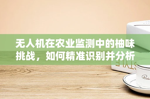 无人机在农业监测中的柚味挑战，如何精准识别并分析柚子园的病虫害？