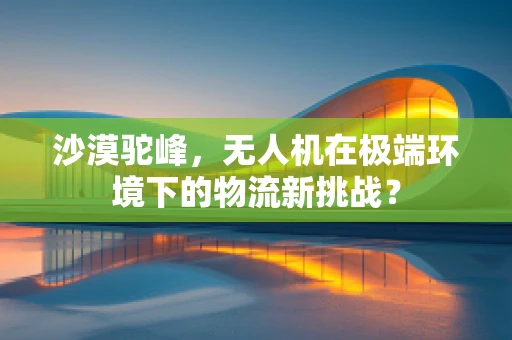 沙漠驼峰，无人机在极端环境下的物流新挑战？
