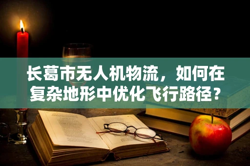 长葛市无人机物流，如何在复杂地形中优化飞行路径？