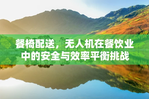 餐椅配送，无人机在餐饮业中的安全与效率平衡挑战