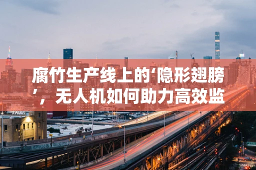 腐竹生产线上的‘隐形翅膀’，无人机如何助力高效监测？