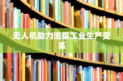 无人机助力泡菜工业生产变革
