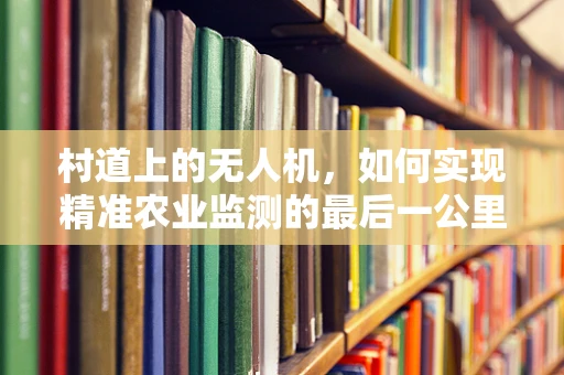 村道上的无人机，如何实现精准农业监测的最后一公里？