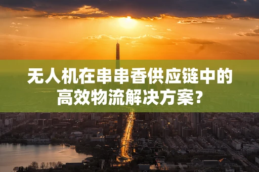 无人机在串串香供应链中的高效物流解决方案？
