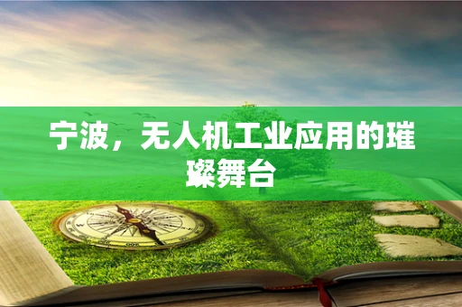 宁波，无人机工业应用的璀璨舞台