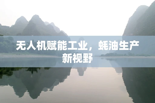 无人机赋能工业，蚝油生产新视野
