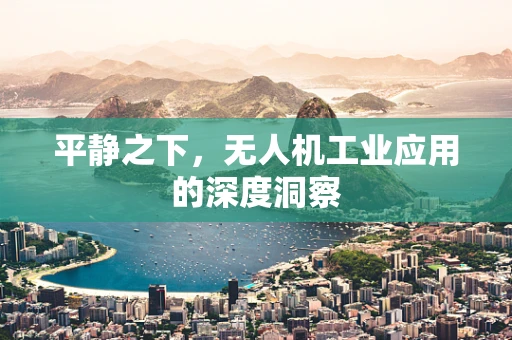 平静之下，无人机工业应用的深度洞察