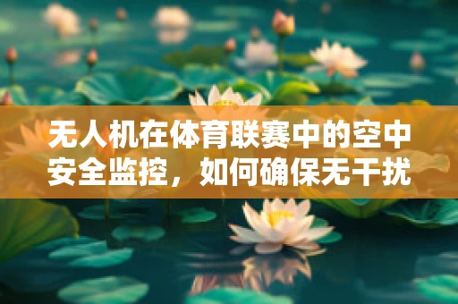 无人机在体育联赛中的空中安全监控，如何确保无干扰飞行？