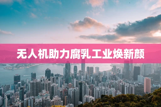 无人机助力腐乳工业焕新颜