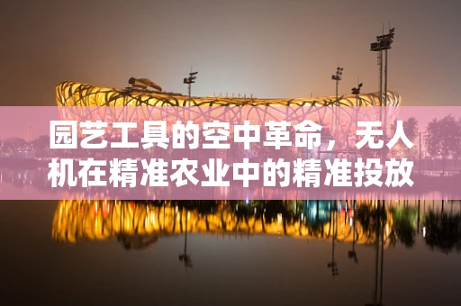 园艺工具的空中革命，无人机在精准农业中的精准投放挑战