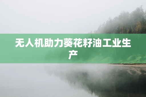 无人机助力葵花籽油工业生产