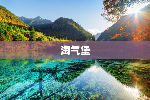淘气堡
