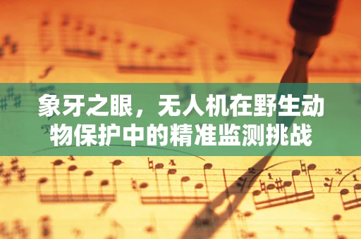 象牙之眼，无人机在野生动物保护中的精准监测挑战