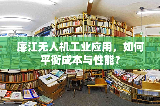 廉江无人机工业应用，如何平衡成本与性能？