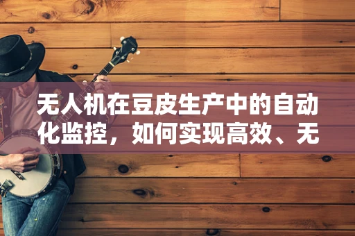 无人机在豆皮生产中的自动化监控，如何实现高效、无损的检测？
