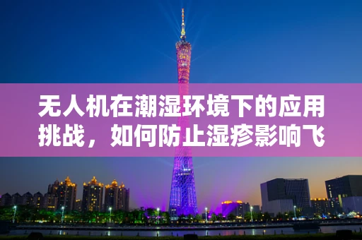 无人机在潮湿环境下的应用挑战，如何防止湿疹影响飞行安全？