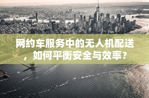 网约车服务中的无人机配送，如何平衡安全与效率？