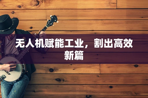 无人机赋能工业，割出高效新篇