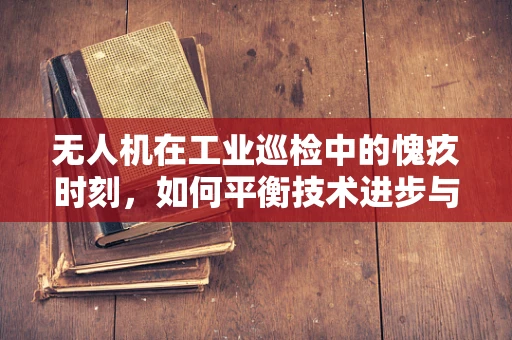 无人机在工业巡检中的愧疚时刻，如何平衡技术进步与环境保护？