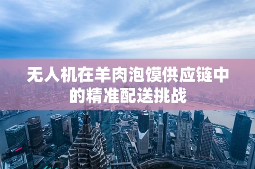 无人机在羊肉泡馍供应链中的精准配送挑战