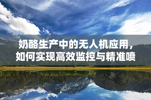 奶酪生产中的无人机应用，如何实现高效监控与精准喷洒？