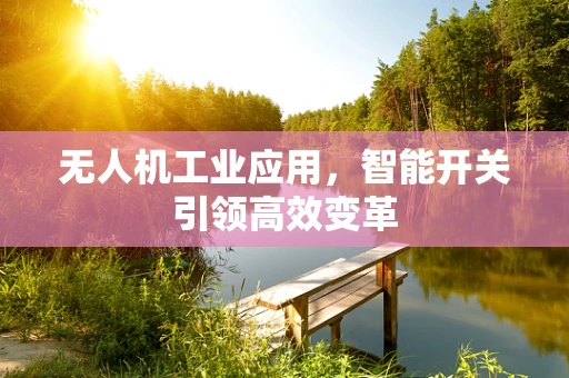 无人机工业应用，智能开关引领高效变革