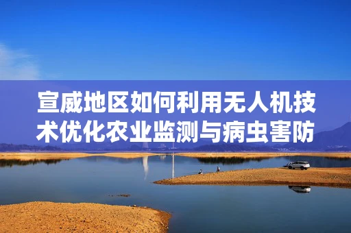 宣威地区如何利用无人机技术优化农业监测与病虫害防治？