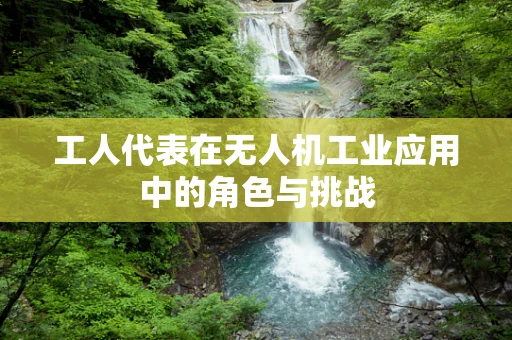 工人代表在无人机工业应用中的角色与挑战