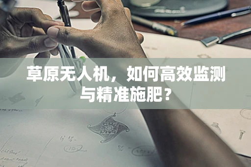 草原无人机，如何高效监测与精准施肥？