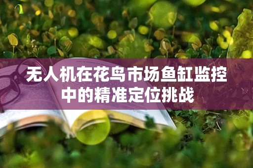 无人机在花鸟市场鱼缸监控中的精准定位挑战