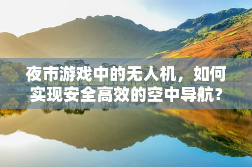 夜市游戏中的无人机，如何实现安全高效的空中导航？