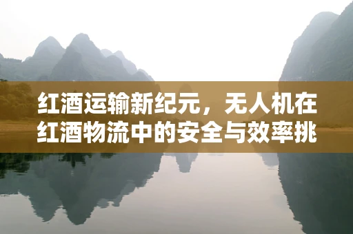 红酒运输新纪元，无人机在红酒物流中的安全与效率挑战