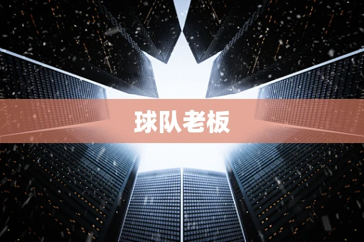 球队老板