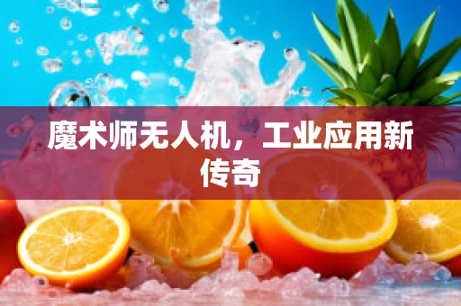 魔术师无人机，工业应用新传奇