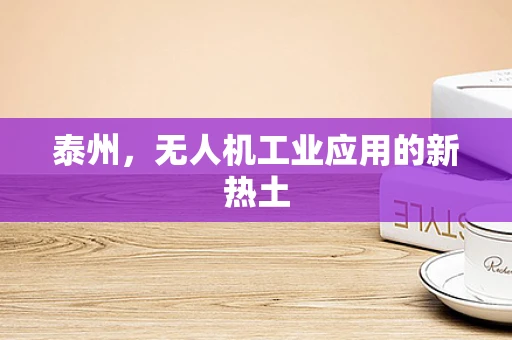 泰州，无人机工业应用的新热土