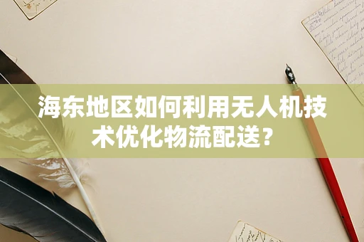 海东地区如何利用无人机技术优化物流配送？