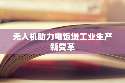 无人机助力电饭煲工业生产新变革