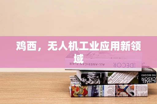 鸡西，无人机工业应用新领域