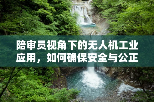 陪审员视角下的无人机工业应用，如何确保安全与公正？