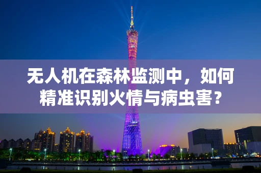 无人机在森林监测中，如何精准识别火情与病虫害？