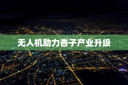 无人机助力杏子产业升级