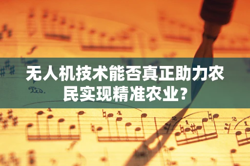 无人机技术能否真正助力农民实现精准农业？