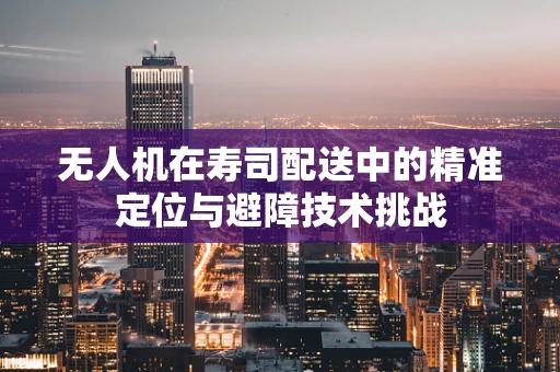 无人机在寿司配送中的精准定位与避障技术挑战