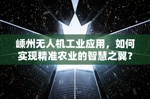 嵊州无人机工业应用，如何实现精准农业的智慧之翼？