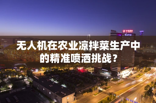 无人机在农业凉拌菜生产中的精准喷洒挑战？