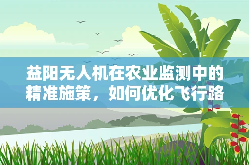益阳无人机在农业监测中的精准施策，如何优化飞行路径以提升监测效率？